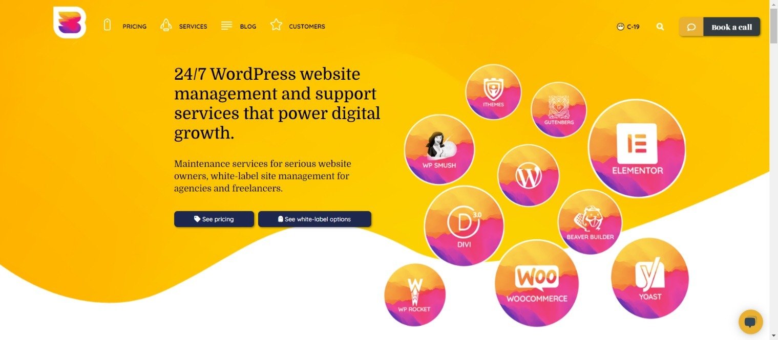 WP Buffs WordPress Management Services