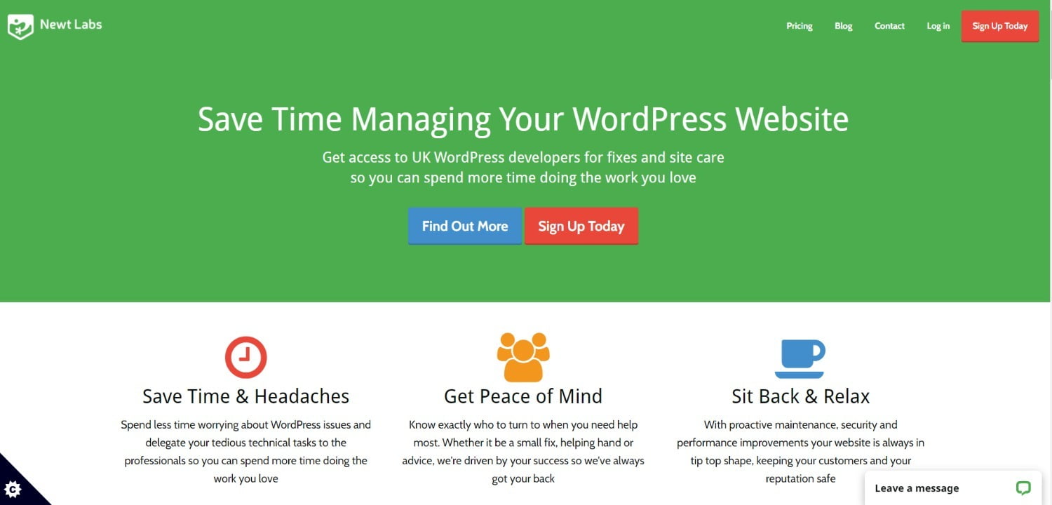 Newt Labs WordPress Management Services