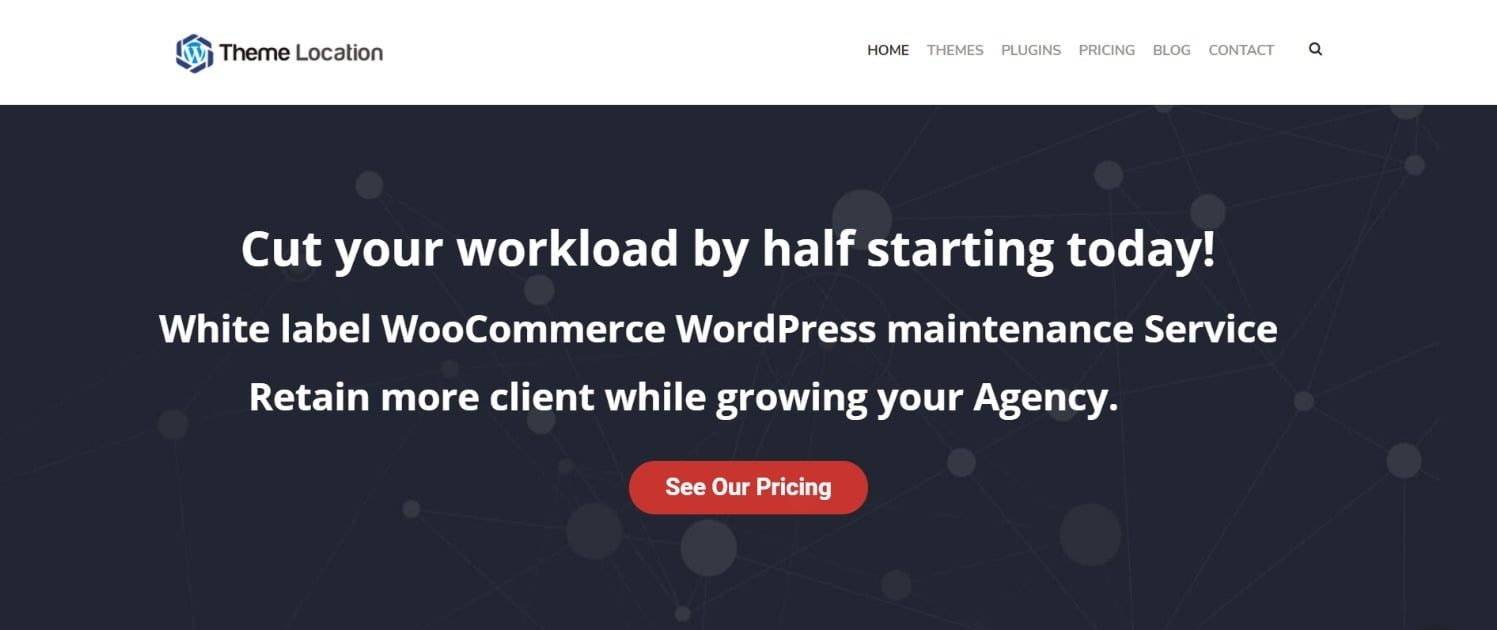 Themelocation WordPress Management Services