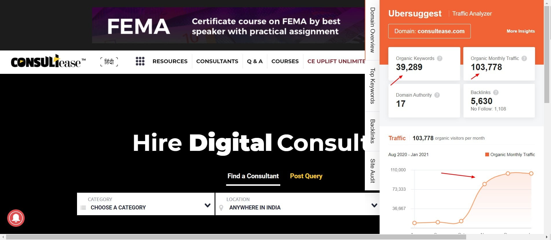 ConsultEase traffic analysis