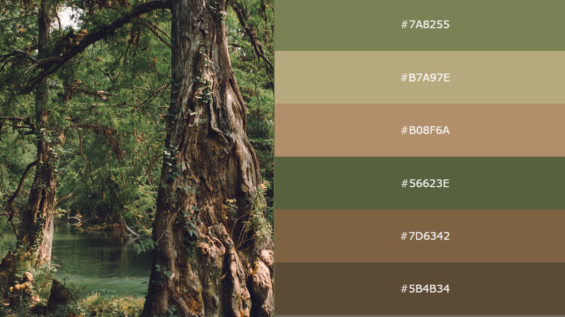 https://www.vocso.com/blog/wp-content/uploads/2022/06/best-color-palette-generators-from-images-.jpg