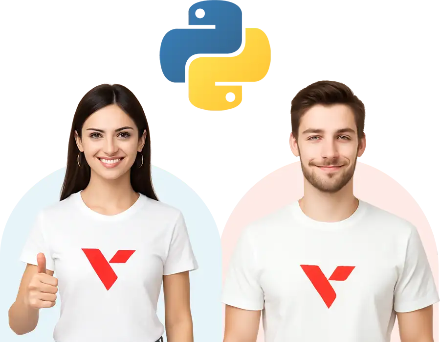 Hire Python Image