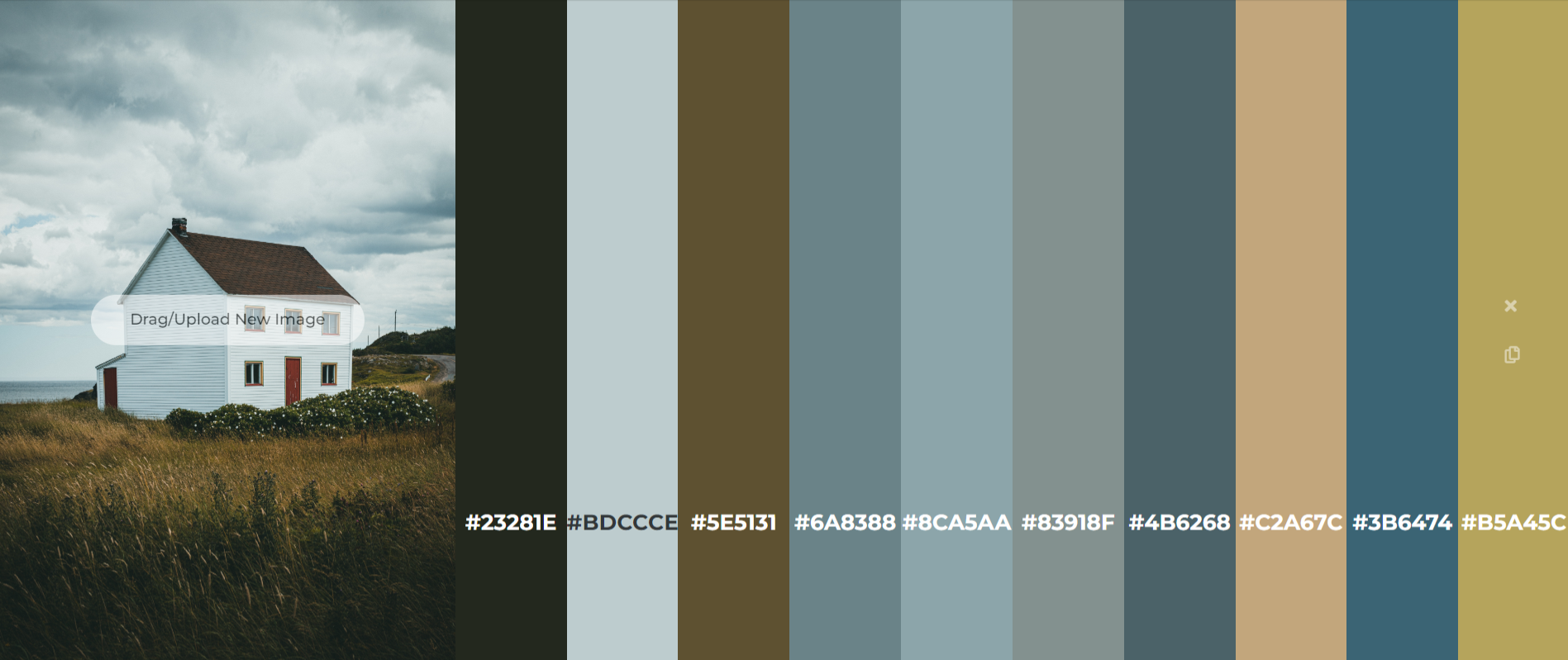 color pallette Image