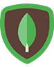 MongoDB